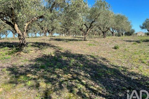 Byhus i Santarem, Santarem, Santarem - € 58.680 | Ref: 887525 - foto 34