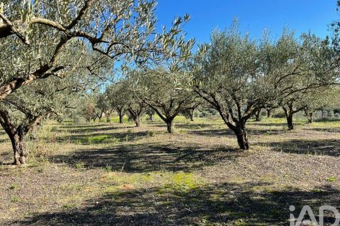 Byhus i Santarem, Santarem, Santarem - € 58.680 | Ref: 887525 - foto 35