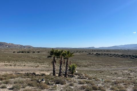 Landejendom i Tabernas, Almeria, Tabernas - € 695.000 | Ref: TAB-26-731 - foto 6