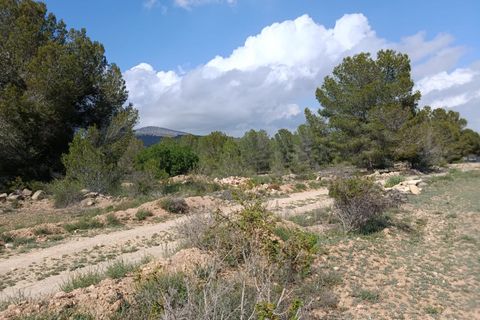 Helårsgrund i Monovar, Alicante, Monovar - € 59.000 | Ref: P5456 - foto 2