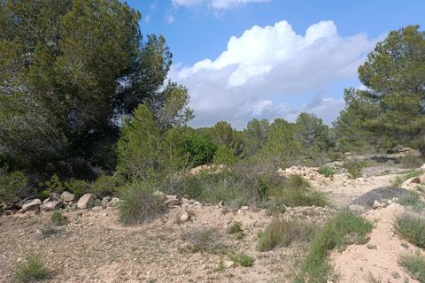 Helårsgrund i Monovar, Alicante, Monovar - € 59.000 | Ref: P5456 - foto 3