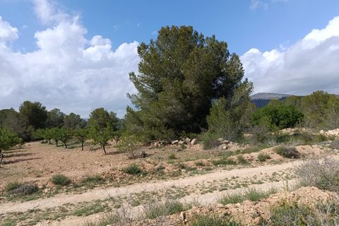 Helårsgrund i Monovar, Alicante, Monovar - € 59.000 | Ref: P5456 - foto 4