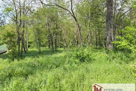 Terra a Gavirate, Varese, Gavirate - € 120.000 | Ref: LM 1762 - foto 6
