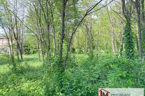 Terra a Gavirate, Varese, Gavirate - € 120.000 | Ref: LM 1762 - foto 7
