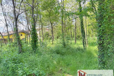 Terra a Gavirate, Varese, Gavirate - € 120.000 | Ref: LM 1762 - foto 8