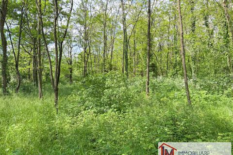 Terra a Gavirate, Varese, Gavirate - € 120.000 | Ref: LM 1762 - foto 9