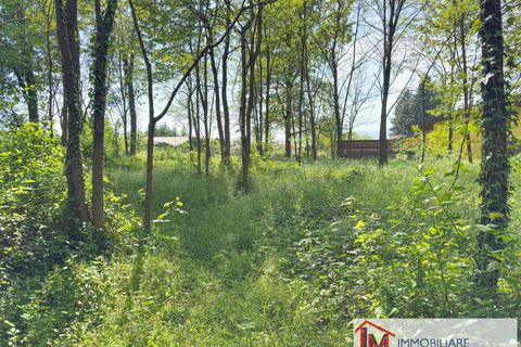 Terra a Gavirate, Varese, Gavirate - € 120.000 | Ref: LM 1762 - foto 10