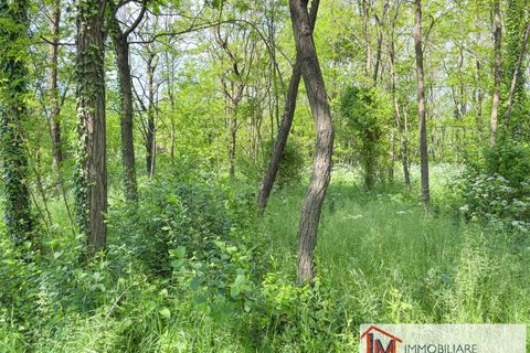 Terra a Gavirate, Varese, Gavirate - € 120.000 | Ref: LM 1762 - foto 12