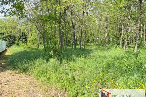 Terra a Gavirate, Varese, Gavirate - € 120.000 | Ref: LM 1762 - foto 13