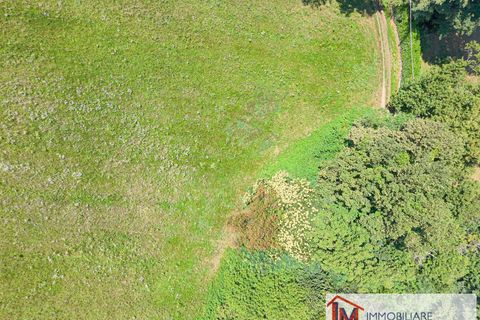 Terra a Vergiate, Varese, Vergiate - € 120.000 | Ref: LM 1771 - foto 5