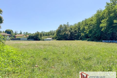 Terra a Vergiate, Varese, Vergiate - € 120.000 | Ref: LM 1771 - foto 11