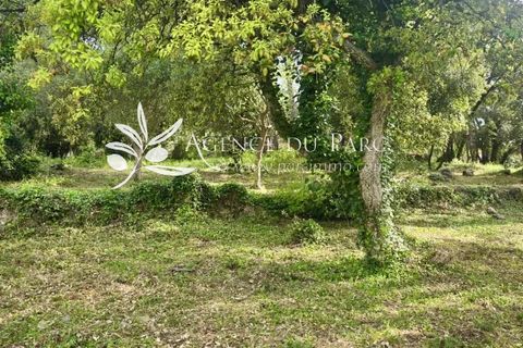 Helårsgrund i Biot, Alpes-Maritimes, Biot - € 665.000 | Ref: 86929968 - foto 7