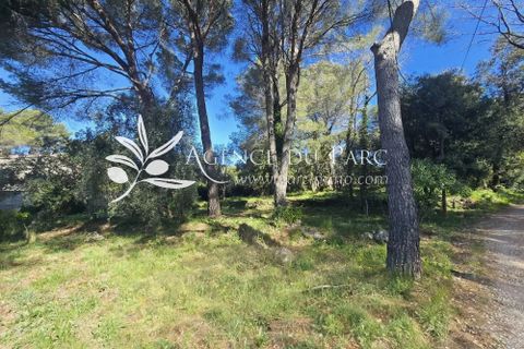 Helårsgrund i Biot, Alpes-Maritimes, Biot - € 665.000 | Ref: 86929968 - foto 10