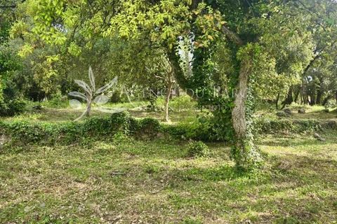 Terreno en Biot, Alpes-Maritimes, Biot - € 665.000 | Ref: 86929968 - photo 6