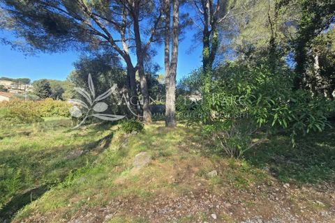 Terreno en Biot, Alpes-Maritimes, Biot - € 665.000 | Ref: 86929968 - photo 7