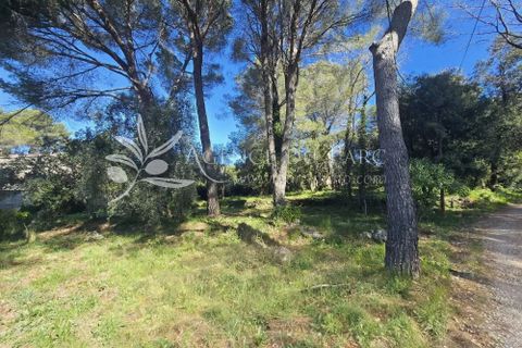 Terreno en Biot, Alpes-Maritimes, Biot - € 665.000 | Ref: 86929968 - photo 9