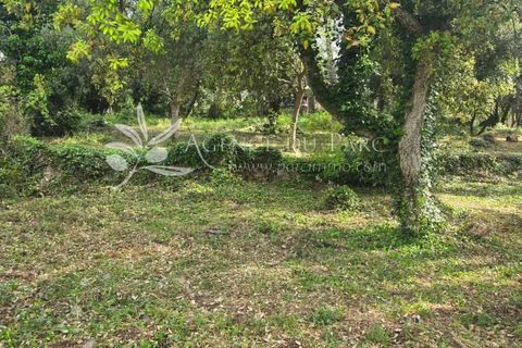 Terreno en Biot, Alpes-Maritimes, Biot - € 665.000 | Ref: 86929968 - photo 11