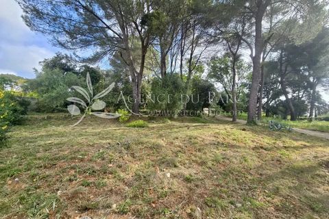 Terreno en Biot, Alpes-Maritimes, Biot - € 665.000 | Ref: 86929968 - photo 12