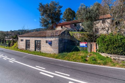 Villa a Celorico de Basto, Braga, Celorico de Basto - € 89.900 | Ref: 126221008-14 - foto 3
