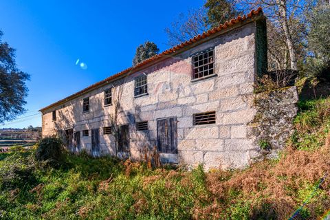 Villa a Celorico de Basto, Braga, Celorico de Basto - € 89.900 | Ref: 126221008-14 - foto 4