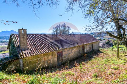 Villa a Celorico de Basto, Braga, Celorico de Basto - € 89.900 | Ref: 126221008-14 - foto 10