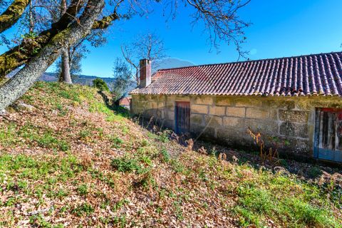 Villa a Celorico de Basto, Braga, Celorico de Basto - € 89.900 | Ref: 126221008-14 - foto 11