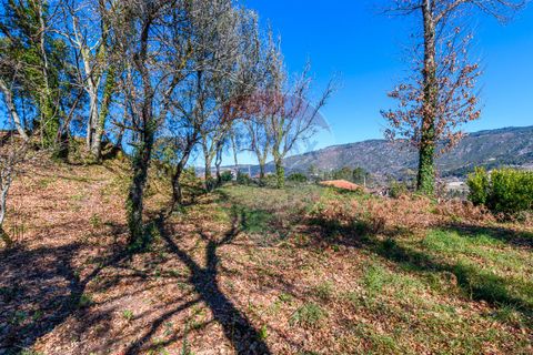 Villa a Celorico de Basto, Braga, Celorico de Basto - € 89.900 | Ref: 126221008-14 - foto 13