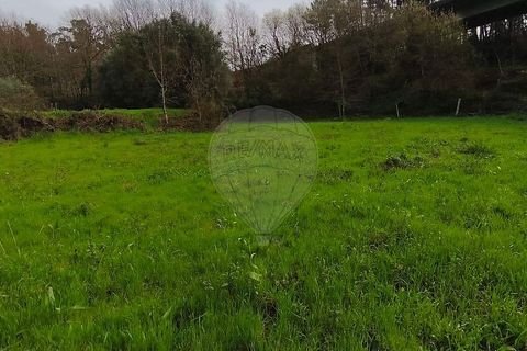 Helårsgrund i Ponte de Lima, Viana do Castelo, Ponte de Lima - € 37.000 | Ref: 123731039-20 - foto 2