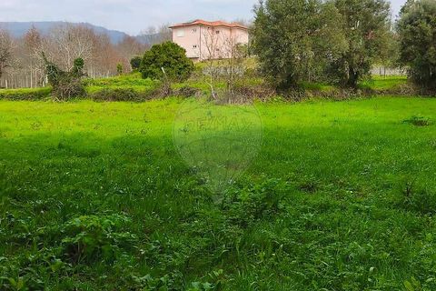 Helårsgrund i Ponte de Lima, Viana do Castelo, Ponte de Lima - € 37.000 | Ref: 123731039-20 - foto 5