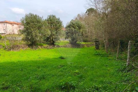 Helårsgrund i Ponte de Lima, Viana do Castelo, Ponte de Lima - € 37.000 | Ref: 123731039-20 - foto 6