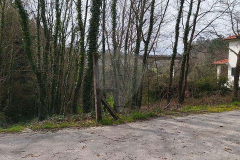 Helårsgrund i Ponte de Lima, Viana do Castelo, Ponte de Lima - € 37.000 | Ref: 123731039-20 - foto 7