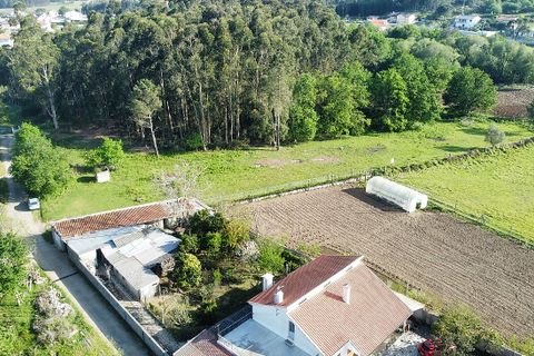 Helårsgrund i Valenca, Viana do Castelo, Valenca - € 87.000 | Ref: 126201003-224 - foto 2