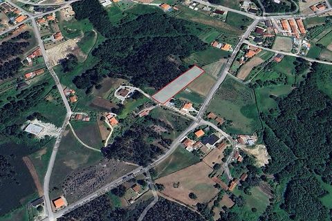 Helårsgrund i Valenca, Viana do Castelo, Valenca - € 87.000 | Ref: 126201003-224 - foto 7