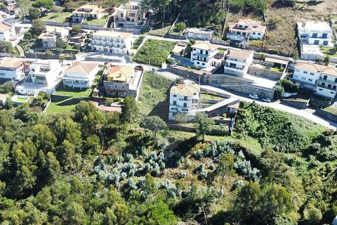 Helårsgrund i Caminha, Viana do Castelo, Caminha - € 47.900 | Ref: 126201003-225 - foto 5