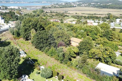 Helårsgrund i Caminha, Viana do Castelo, Caminha - € 110.000 | Ref: 126201003-227 - foto 6