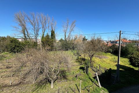 Helårsgrund i Chaves, Vila Real, Chaves - € 183.000 | Ref: 126381014-85 - foto 2
