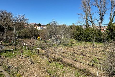 Helårsgrund i Chaves, Vila Real, Chaves - € 183.000 | Ref: 126381014-85 - foto 3