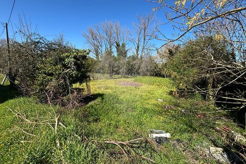 Helårsgrund i Chaves, Vila Real, Chaves - € 183.000 | Ref: 126381014-85 - foto 4