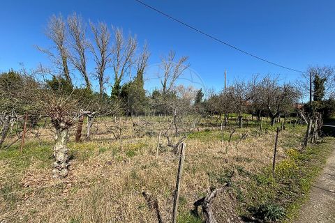 Helårsgrund i Chaves, Vila Real, Chaves - € 183.000 | Ref: 126381014-85 - foto 9