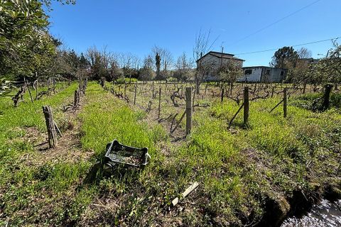 Helårsgrund i Chaves, Vila Real, Chaves - € 183.000 | Ref: 126381014-85 - foto 10