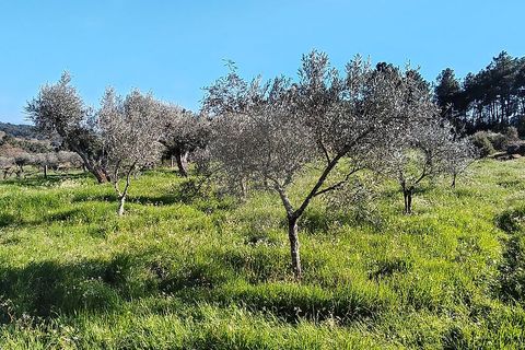 Helårsgrund i Valpacos, Vila Real, Valpacos - € 66.500 | Ref: 126381027-13 - foto 1
