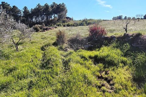 Helårsgrund i Valpacos, Vila Real, Valpacos - € 66.500 | Ref: 126381027-13 - foto 3