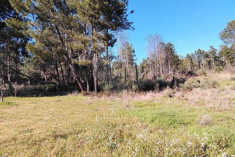 Helårsgrund i Valpacos, Vila Real, Valpacos - € 66.500 | Ref: 126381027-13 - foto 5