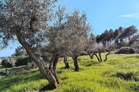 Helårsgrund i Valpacos, Vila Real, Valpacos - € 66.500 | Ref: 126381027-13 - foto 7