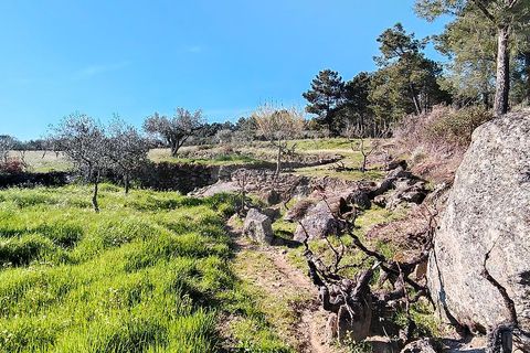 Helårsgrund i Valpacos, Vila Real, Valpacos - € 66.500 | Ref: 126381027-13 - foto 9