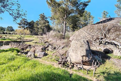 Helårsgrund i Valpacos, Vila Real, Valpacos - € 66.500 | Ref: 126381027-13 - foto 10