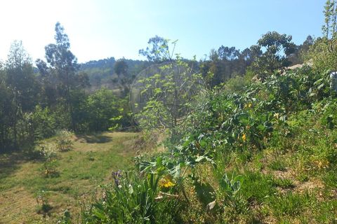 Terra a Fafe, Braga, Fafe - € 140.000 | Ref: 121751088-519 - foto 7