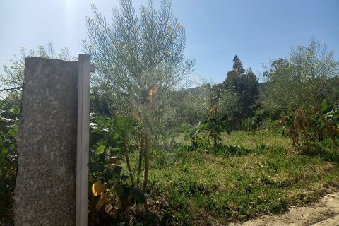 Terra a Fafe, Braga, Fafe - € 140.000 | Ref: 121751088-519 - foto 9