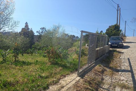 Terra a Fafe, Braga, Fafe - € 140.000 | Ref: 121751088-519 - foto 11