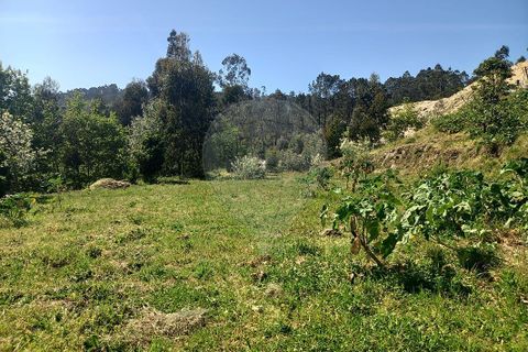 Terra a Fafe, Braga, Fafe - € 140.000 | Ref: 121751088-519 - foto 12